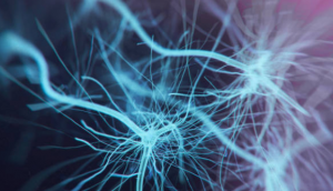Brain Nerves
